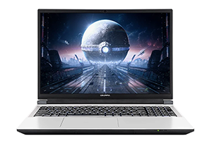 Colorful/七彩虹 隐星G16/G16 Pro 2025 原厂Win11 24H2家庭中文版系统 带F9 Colorful一键恢复功能希信因系统资源网-原厂系统精品系统下载收集希信因系统资源网