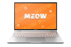 Colorful/七彩虹 MEOW 橘宝R16 Ultra 原厂Win11 24H2家庭中文版系统 带F9 Colorful一键恢复功能希信因系统资源网-原厂系统精品系统下载收集希信因系统资源网