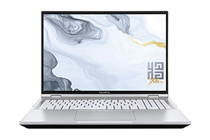 Colorful/七彩虹 将星 X16 Pro 2025 原厂Win11 24H2家庭中文版系统 带F9 Colorful一键恢复功能希信因系统资源网-原厂系统精品系统下载收集希信因系统资源网